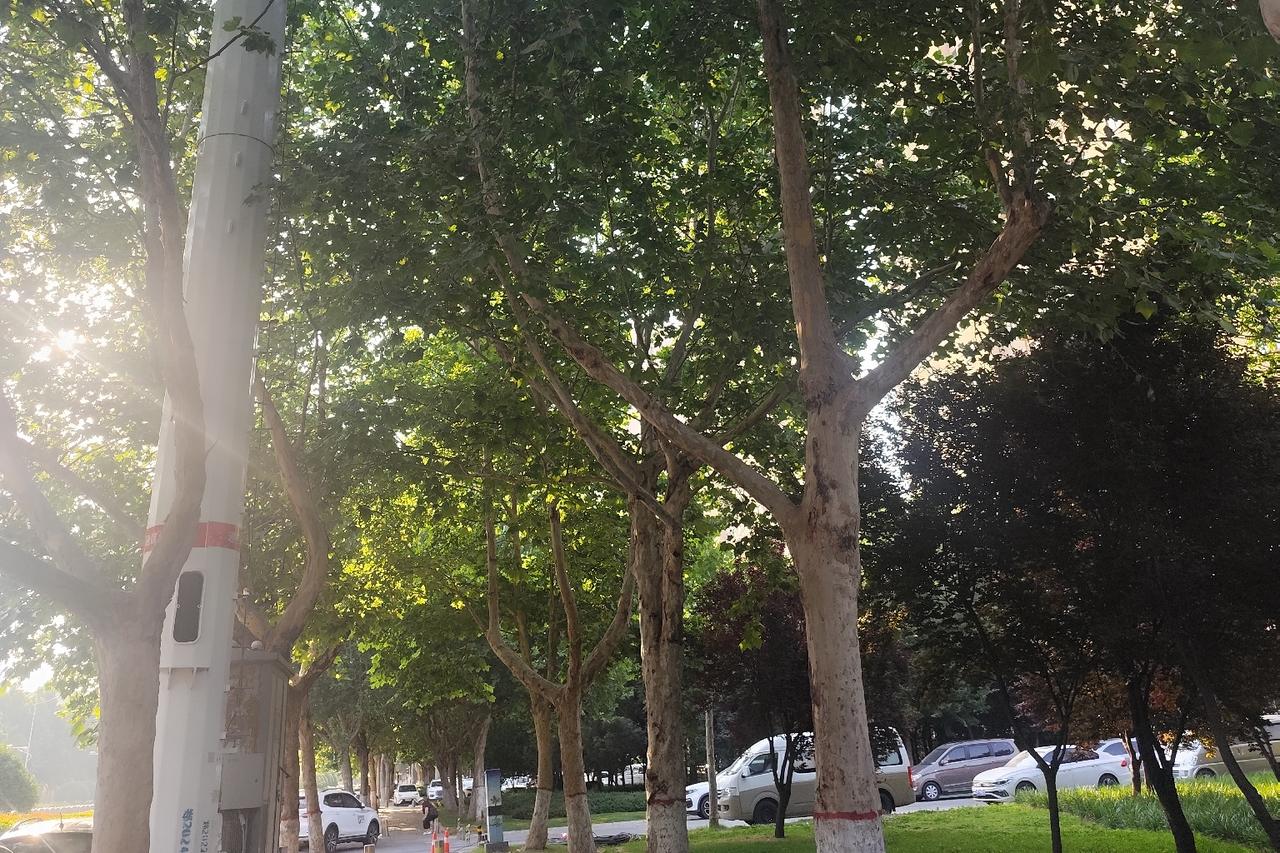 富人热衷做自媒体意在抢夺话语权，而我书写唐河，只为不被遗忘
有人给我看了一篇文章