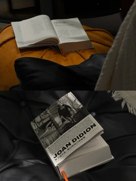 🌙 夜读 60/1104 页｜一个嬉皮士的时代