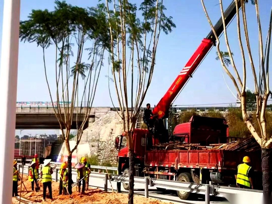 8000万，砸下来了。
就在我们泰州姜堰，那条从小看到大的姜溱河。
要彻底脱胎换