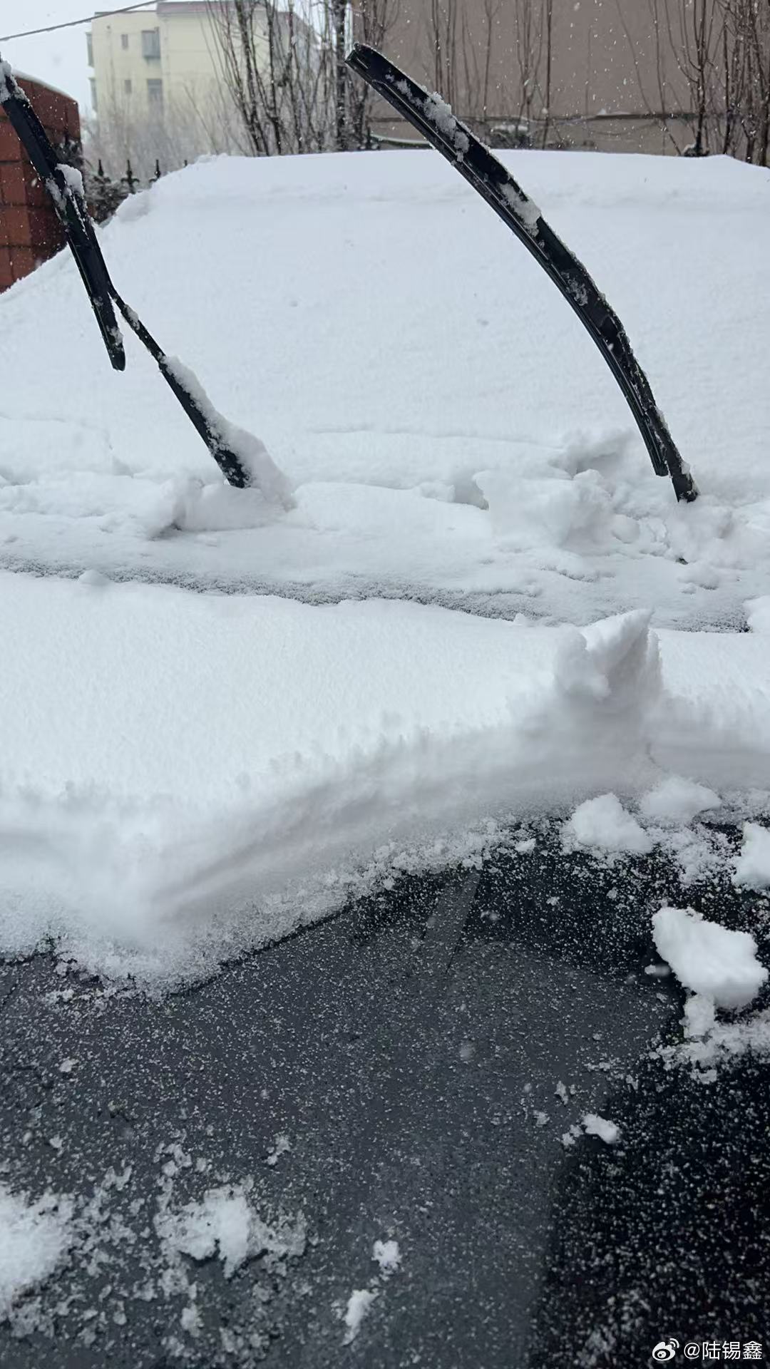 山东最大积雪深度已达8厘米  看家人发来的图片，山东的雪确实不小！不过感觉下点雪