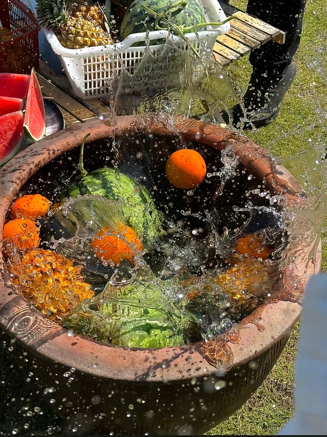 上海夏天消暑的正确打开方式上海夏天消暑玩法超多！去湿地公园吹风纳凉，水上乐园玩水