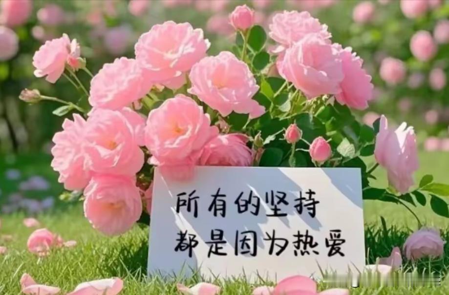 坚持写作是不是很困难?人生感悟（115）：没有流量支持，坚持写作很困难！

头条