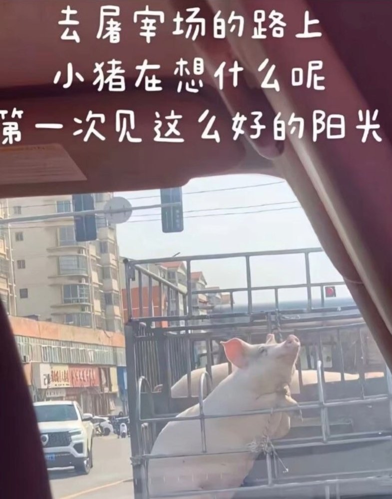 刚高考完幻想以后大好人生的我： 