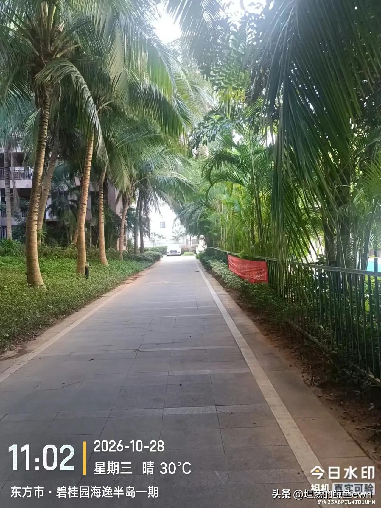 急问？我想问一下东北已经到海南猫冬的朋友们，在哪个城市租房感觉最舒服？东方还是三