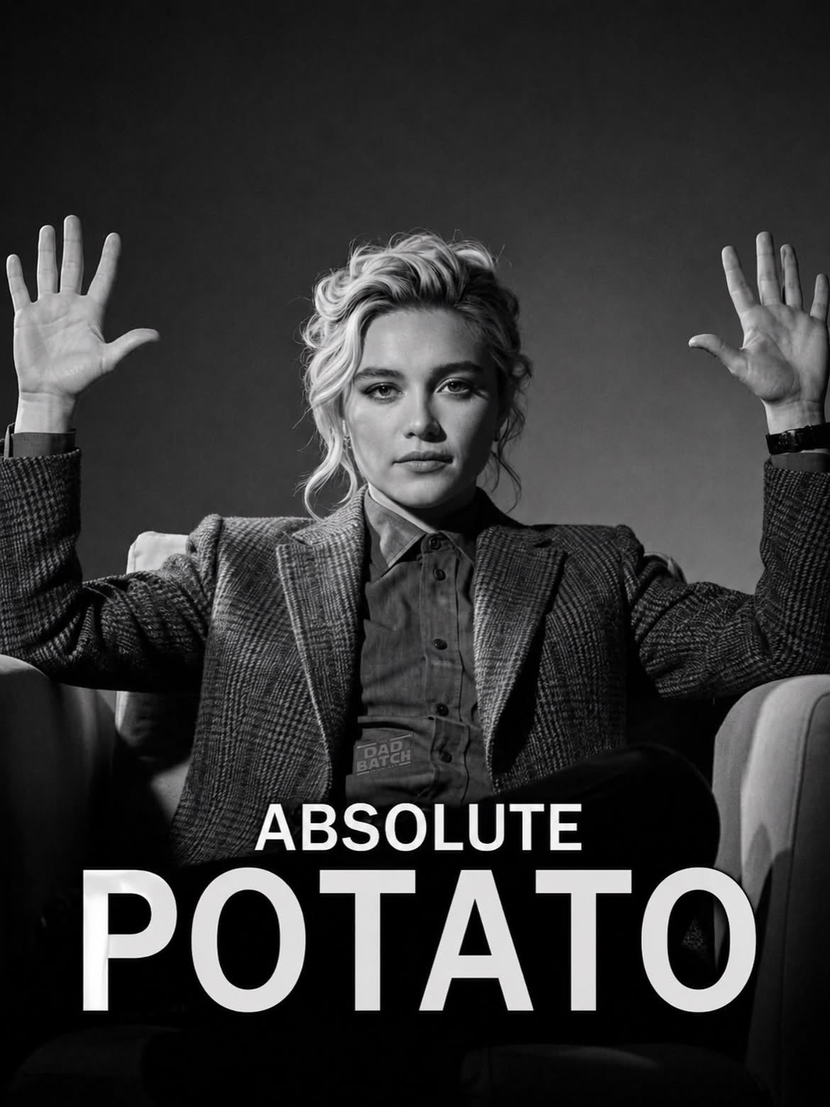 一些《蜘蛛侠:崭新之日》里的potato梗图蜘蛛侠