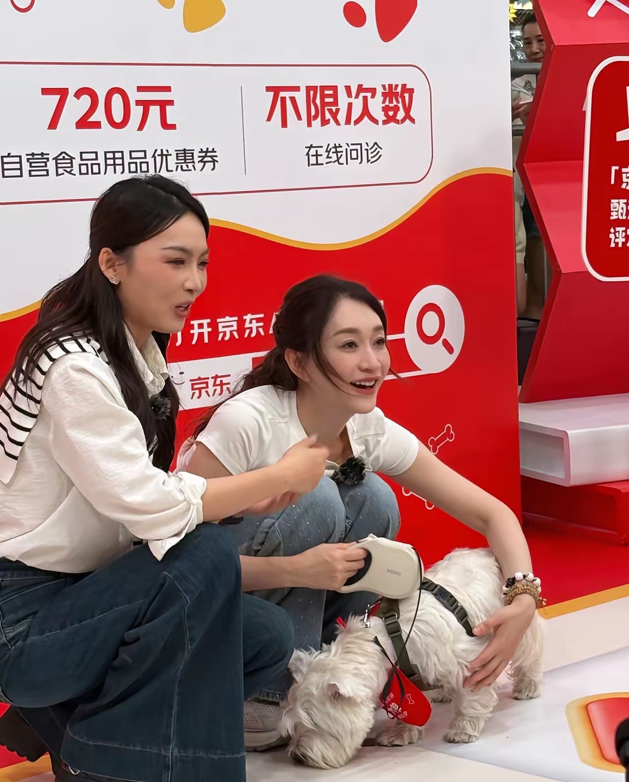 上海亚宠展上偶遇李小冉，娱乐圈公认的大美女确实名不虚传，她的脸长得倒不是特别漂亮