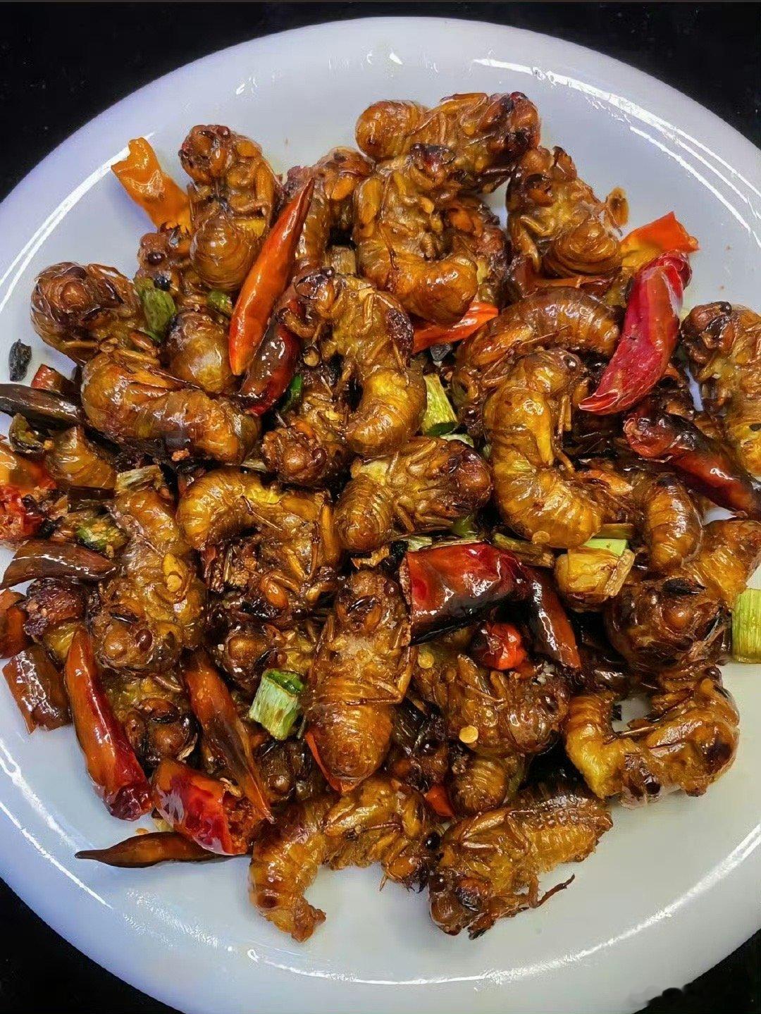 山东到了该吃这个东西的季节了～[色]这个东西在你家乡叫什么？有的地方叫知了猴～ 