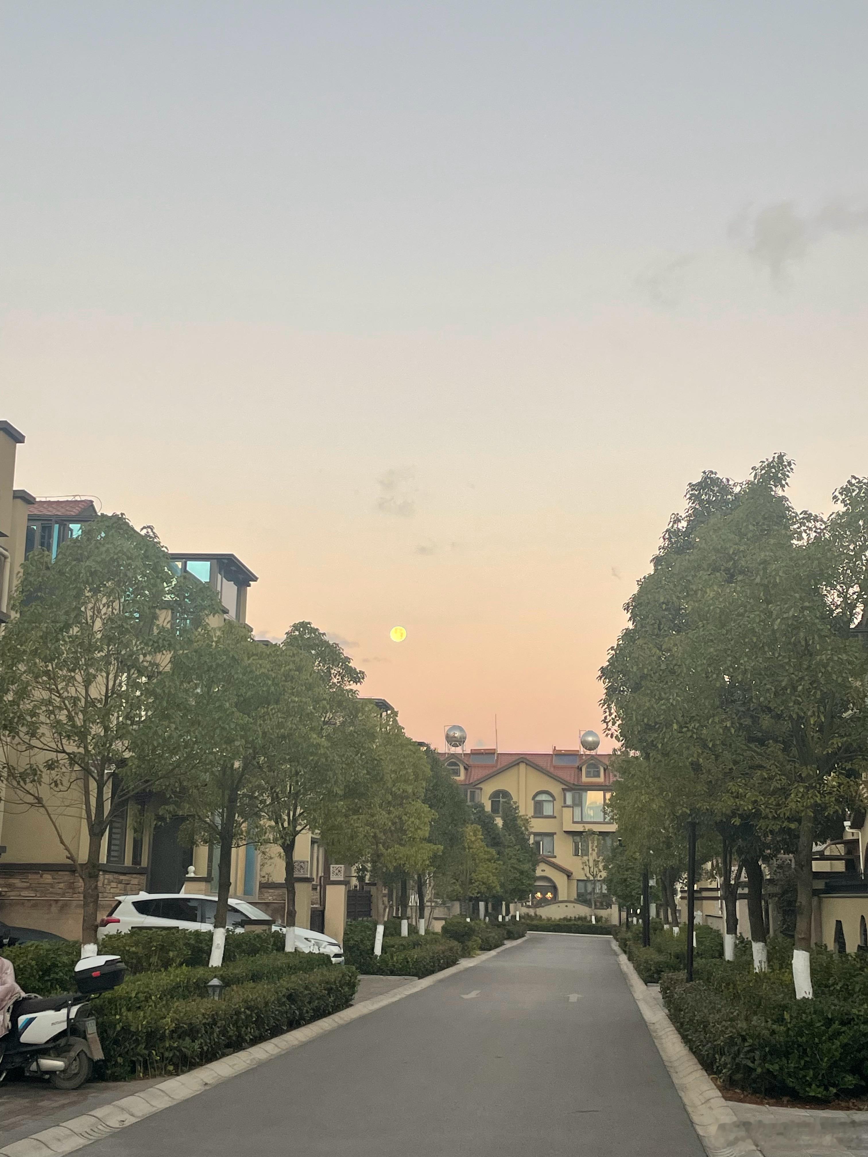 今早八点的月亮🌙月未落，阳未升，亦有别样之美我辈中老年切莫妄自菲薄 