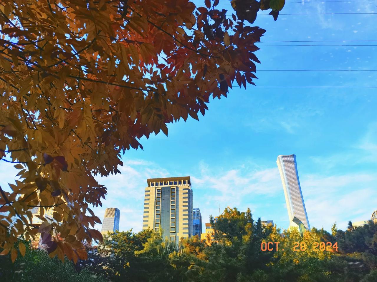 北京金秋时节的最高建筑一一中国尊雄姿！#秋之天堂北京# #京城美景共赏# #记录