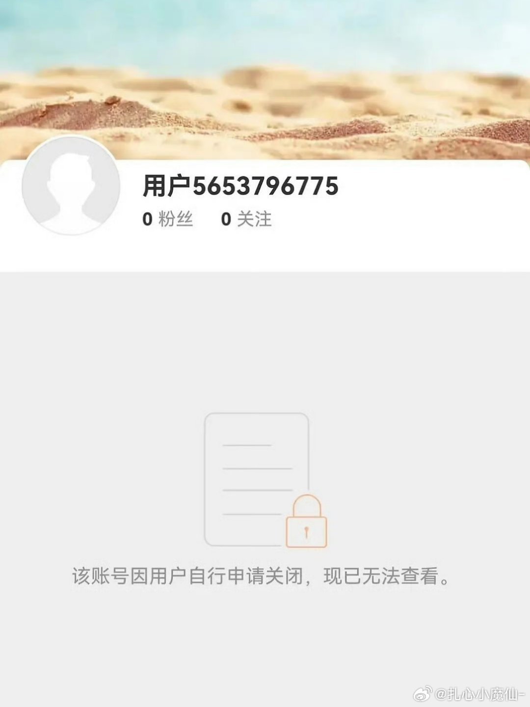 赵露思微博已注销 ​​​