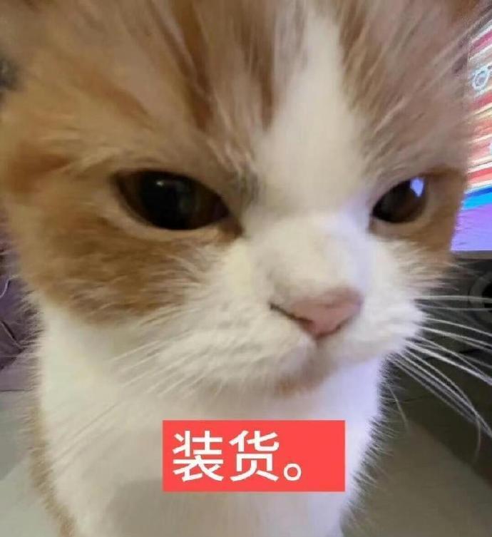 环卫工翻垃圾找手表为何暖心变闹心既然是孩子落下的，应该让孩子自己去找长长记性。自