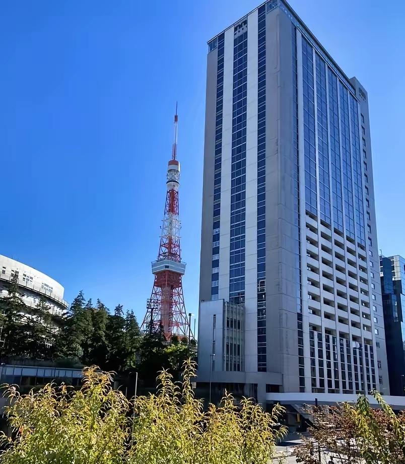 63年的兔子，如今成了这个模样！
 
这群年满六十的“兔子”，脸上刻满了岁月的纹