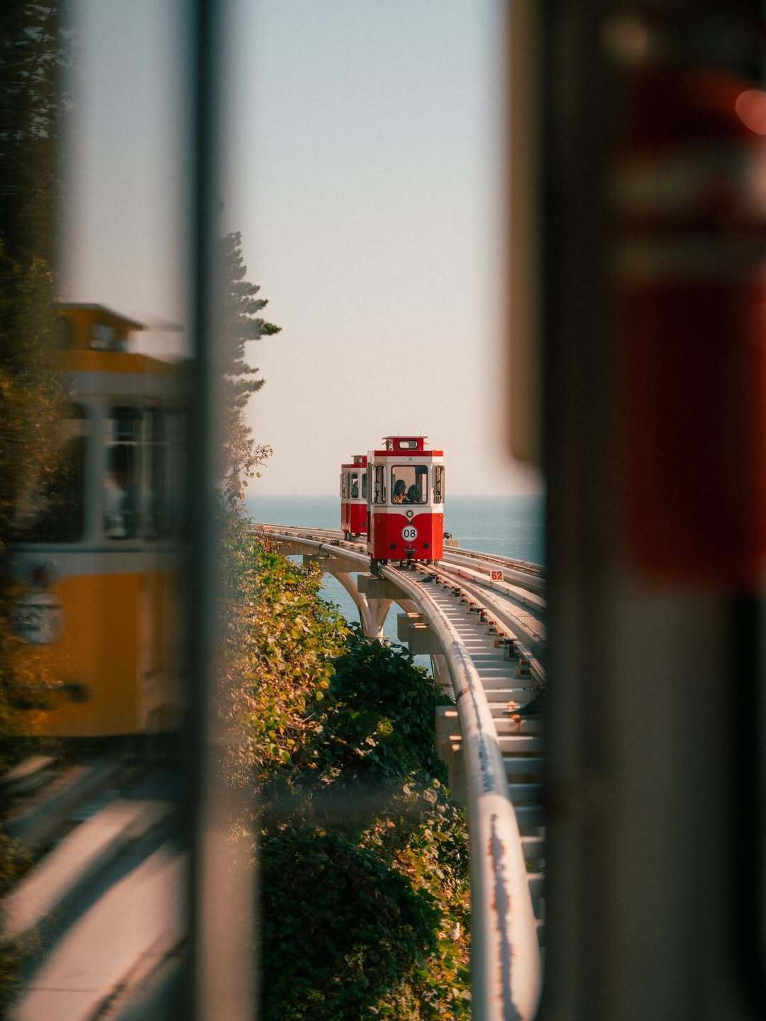 审美提升 ｜📷：Andrei 