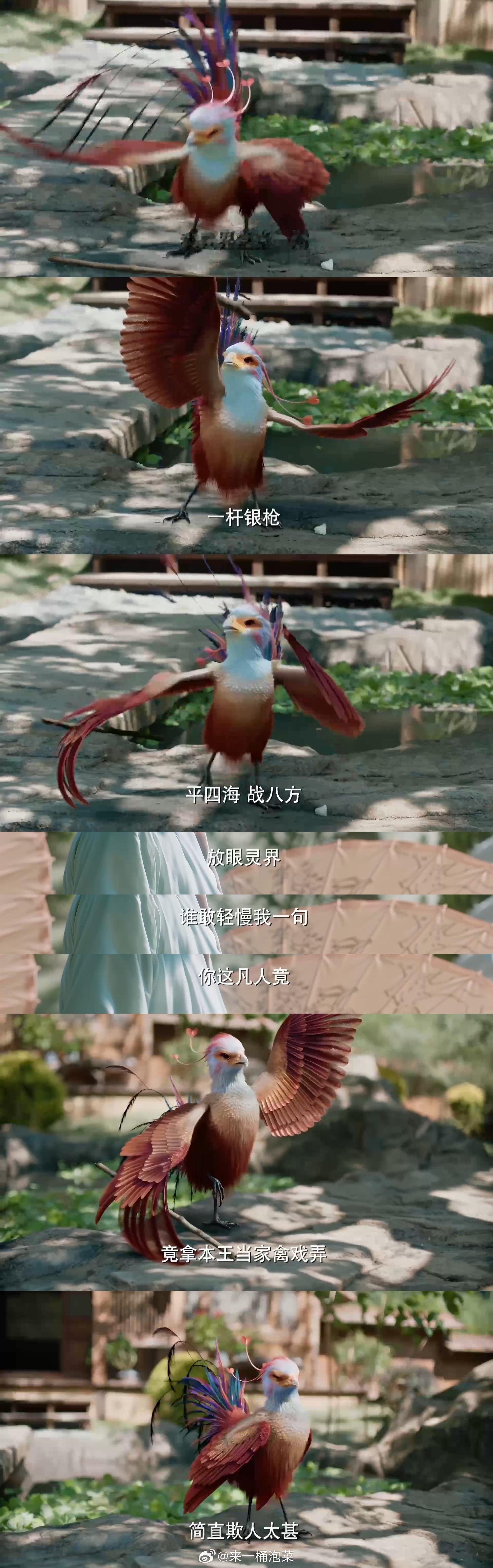 沈·傲娇·臭屁·话唠·璃（灵界在逃小凤凰暂时落难版）啊啊啊啊啊啊咯咯哒真的太可爱