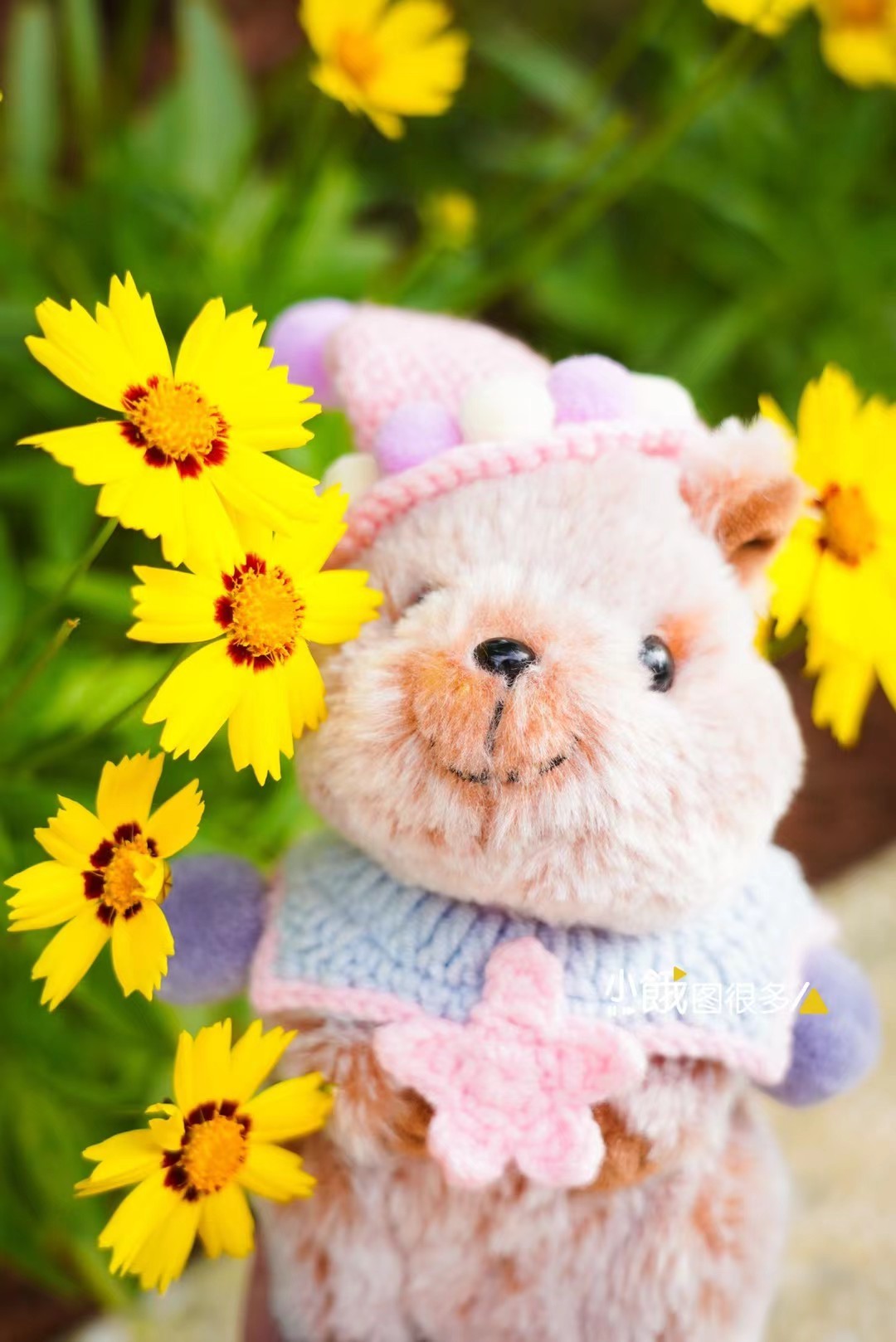 以防你们不知道动物城2里面Dr.Fuzzby原型短尾矮袋鼠做成毛绒玩具有多可爱