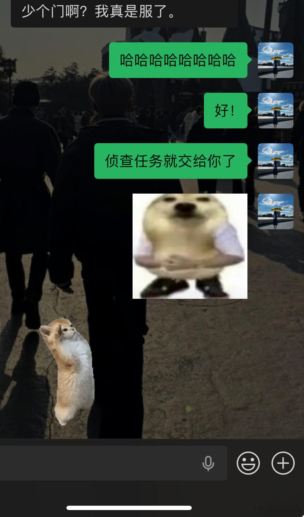 先派出侦查兵！