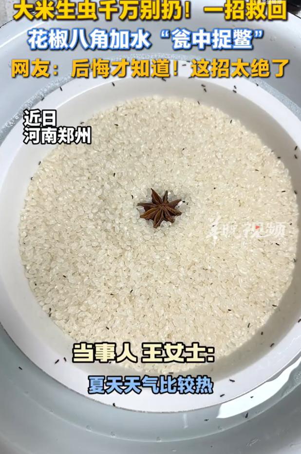 人怎么会这么聪明！10日报道，河南郑州一女子发现米缸生虫，但又不舍得扔，灵机一动