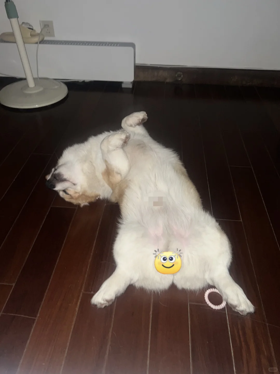 都不知道他们时候进房间的