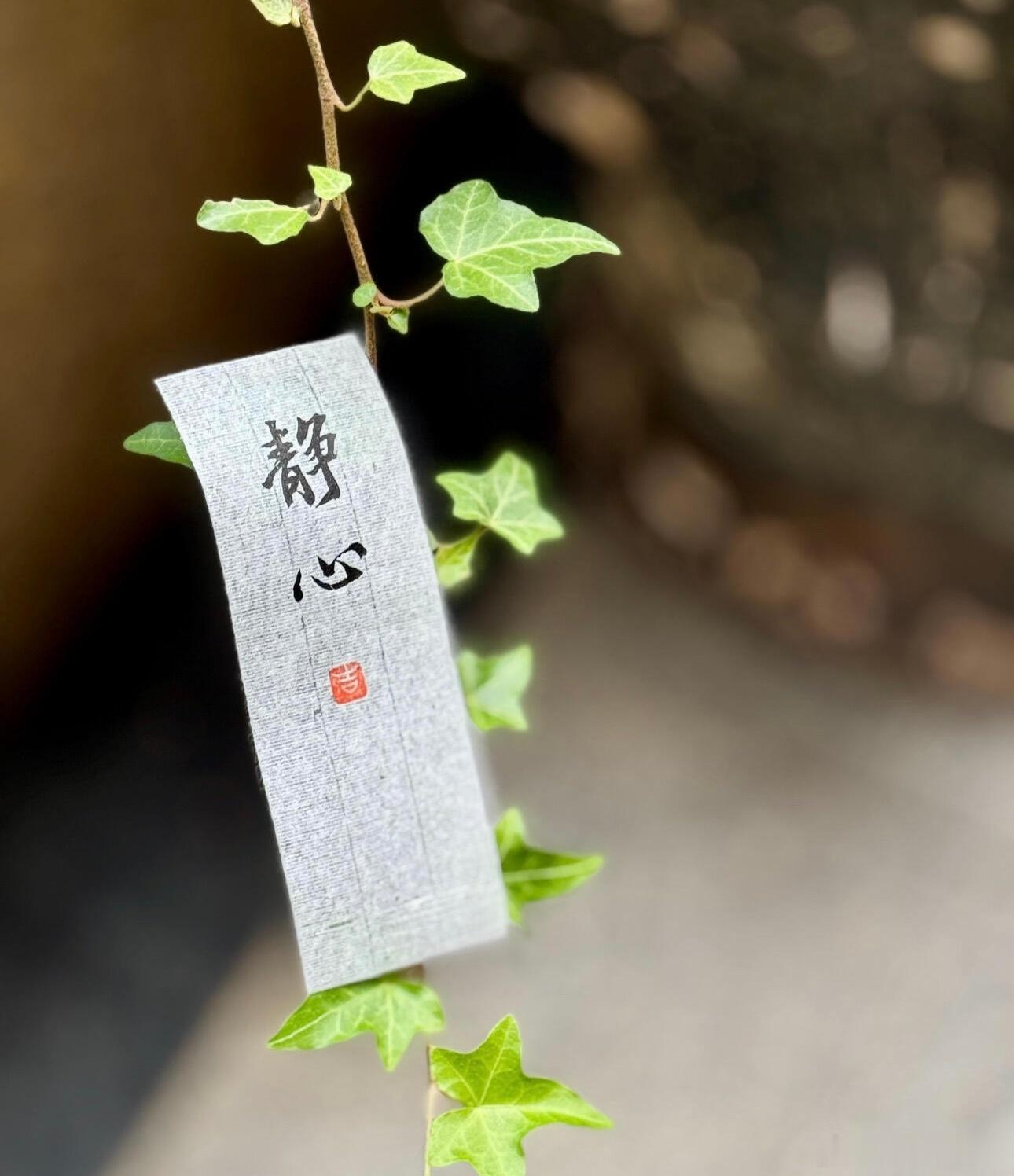 心怀善意，润物无声，善良从不是刻意标榜、大肆宣扬的人设，而是融入日常一言一行的本