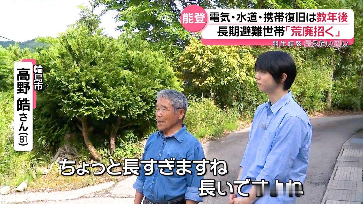珍贵的、户外阳光下的猫咪🥹 