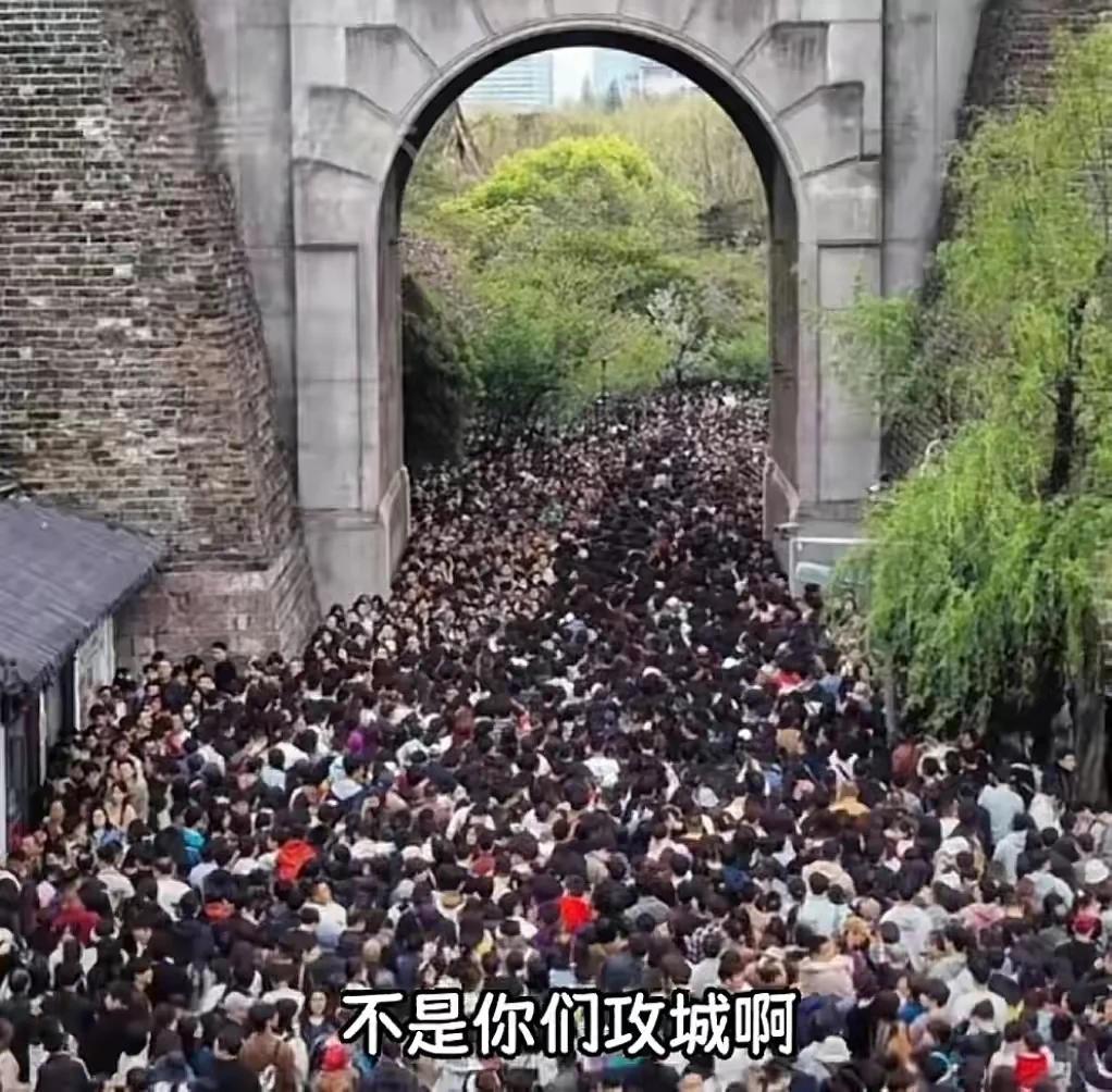 #你赞同取消调休吗？#我不赞同取消调休。调休不香吗？可以多放假。调休不调休对于我