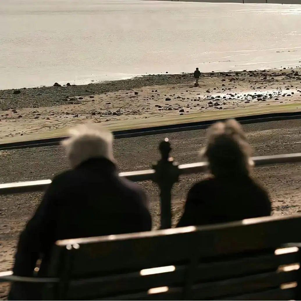 所有舒服的关系 
都源于对彼此没有期待 
为什么艺术很美 
是因为毫无用处 
生