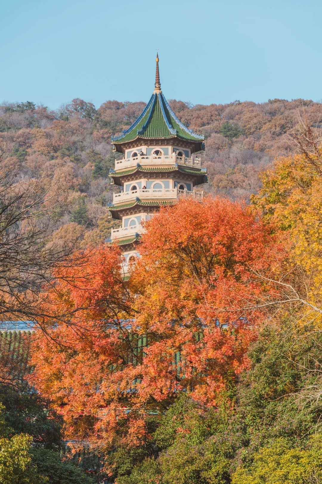 赶在冷空气之前，去看看深秋的灵谷寺