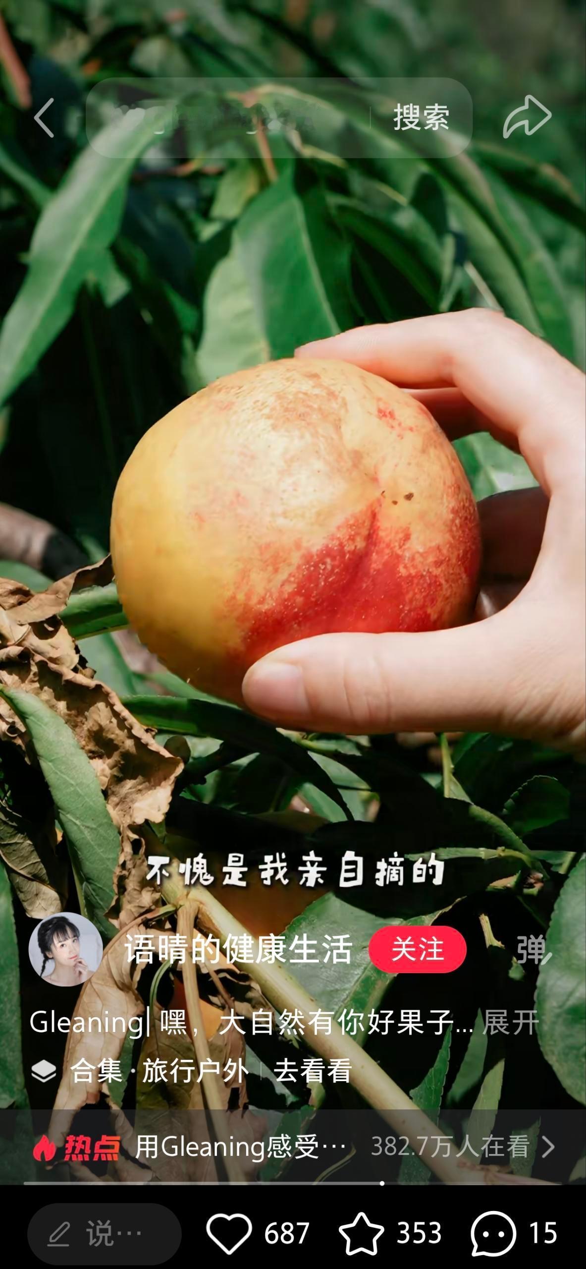 无人能逃脱秋收血脉的觉醒最近小红📚上户外gleaning真的好火，一直刷到各种