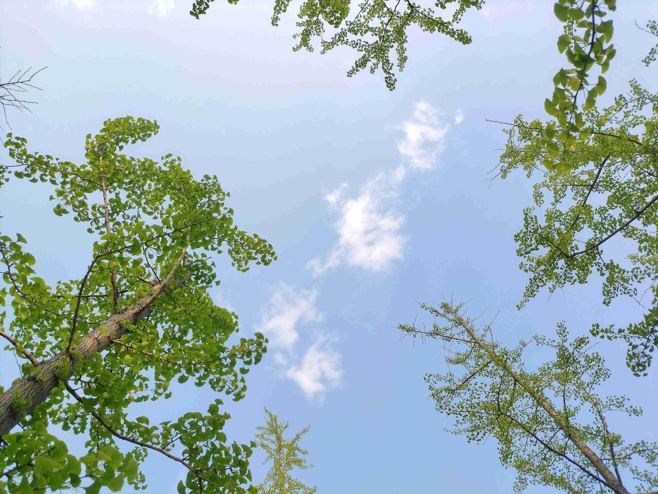我的今日状态：🏃‍➡️运动
我这里的天气：☀️晴天