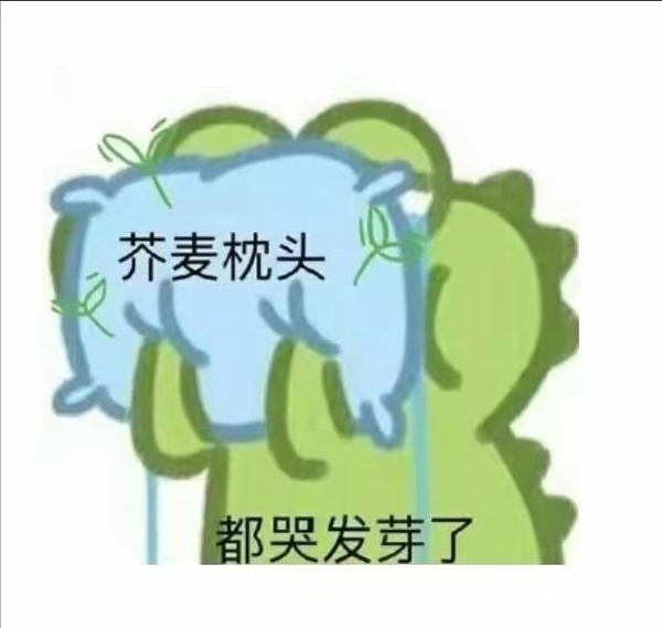 一年一度的免推生夏令营要告一段落了。今年不同以往，即使有免推资格也建议去考公试试