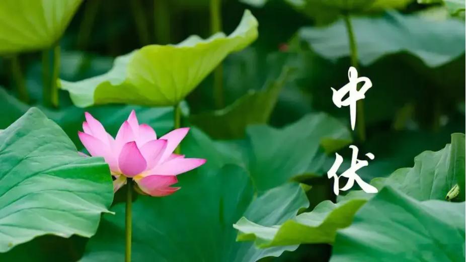 坠入爱河的男女的区别在于：女人可以一整天沉浸在爱河中，而男人却只能时不时朝这边投