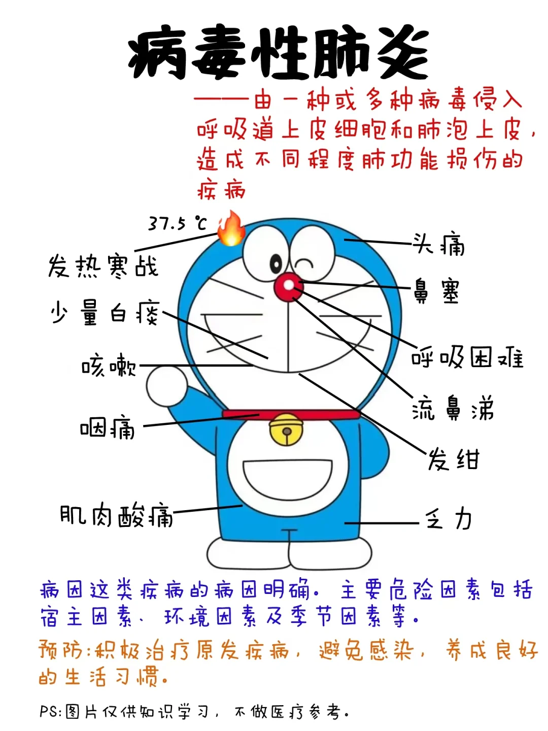 医学生笔记——病毒性肺炎