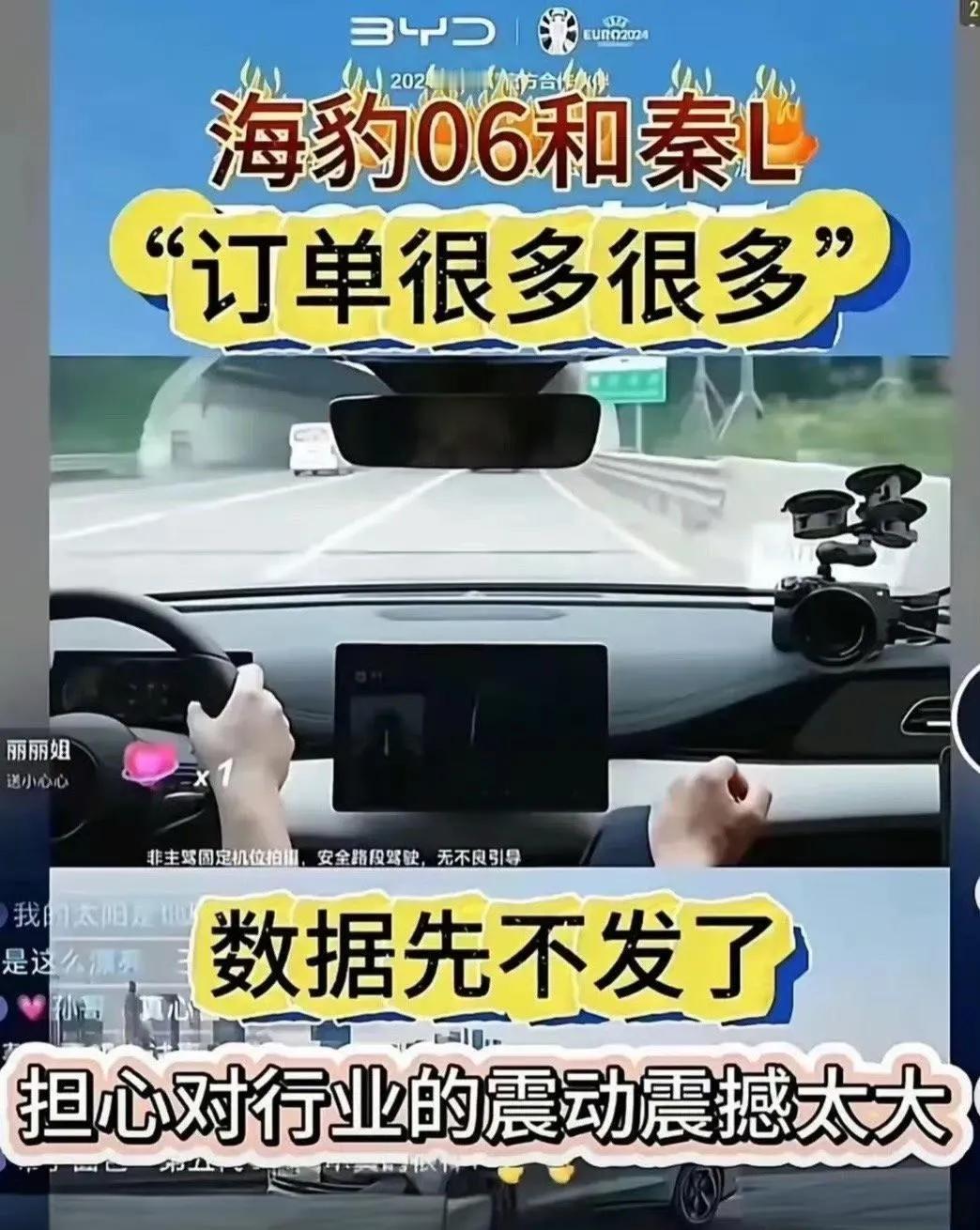 为了不刺激到友商“脆弱”的心灵，比亚迪现在也不敢公布秦L的订单量

但骂的越惨，