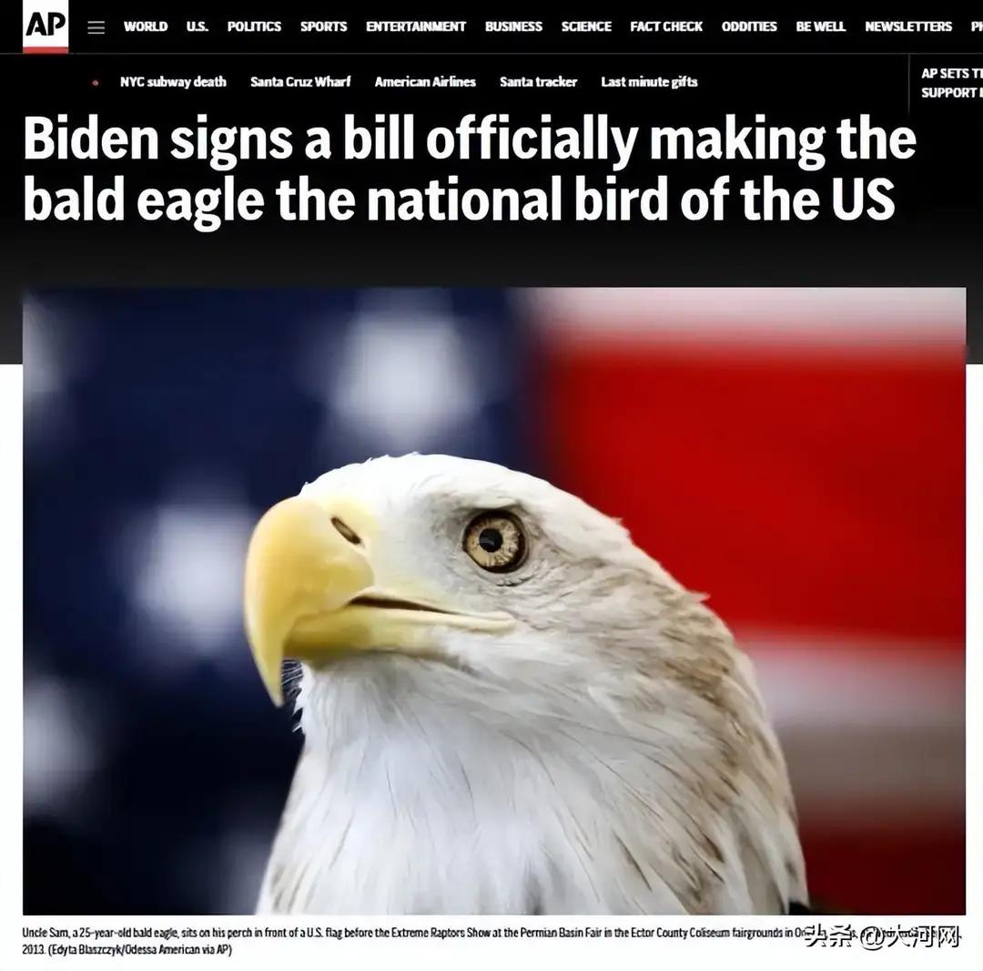 美国确实和英国、西班牙、葡萄牙那种老派殖民帝国不完全一样。
西班牙：抢黄金、灭帝