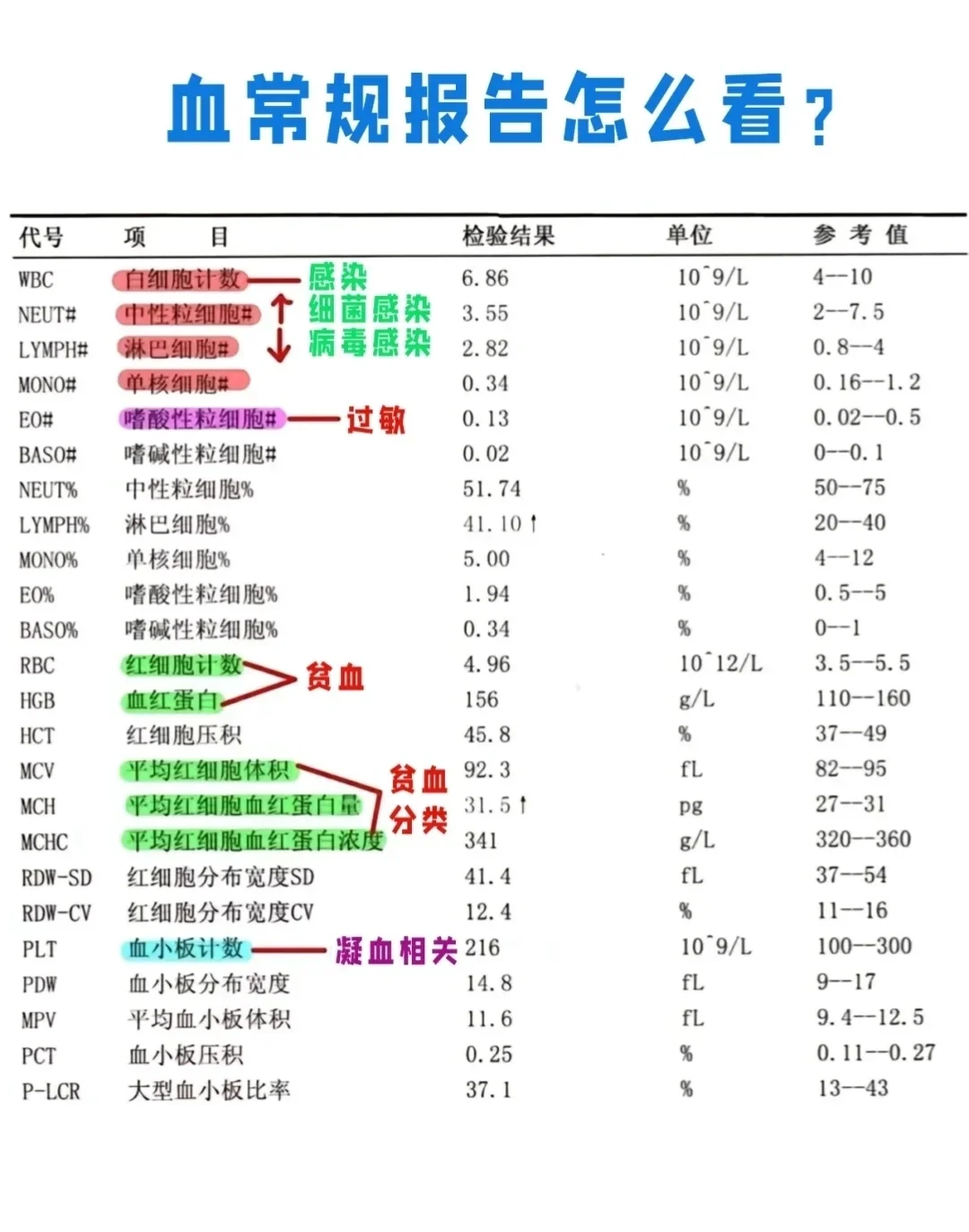 学会看血常规你也可以成为半个医生！