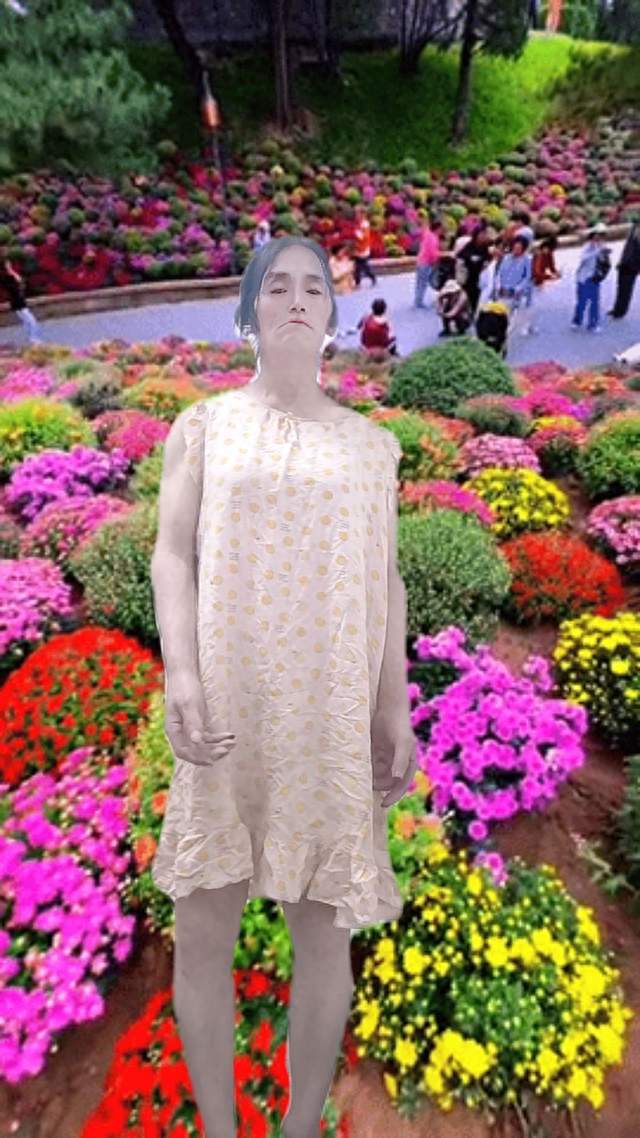 五菱宏光