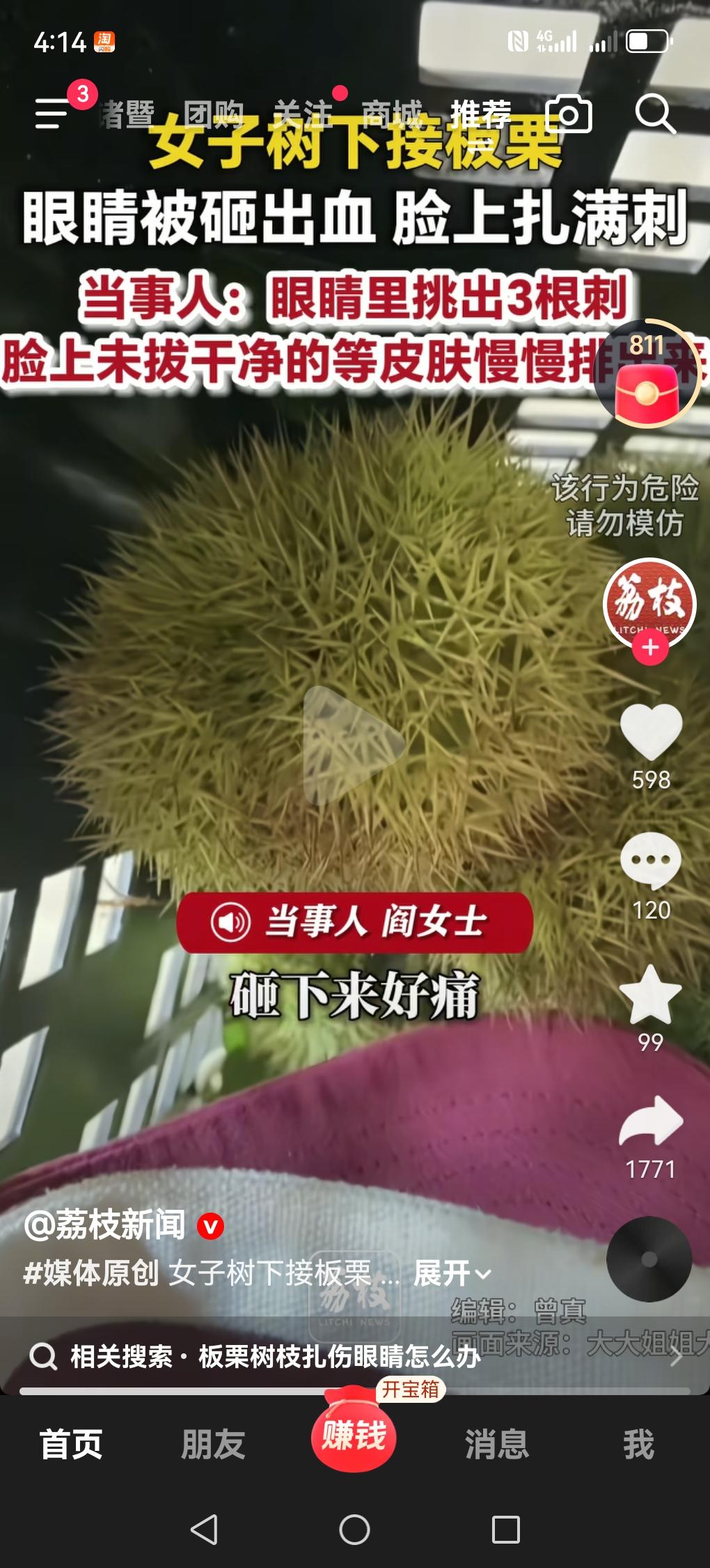 现在这个季节是吃板栗的时候。南方大部分乡间小路上或村子里路边都有板栗树，很多都是