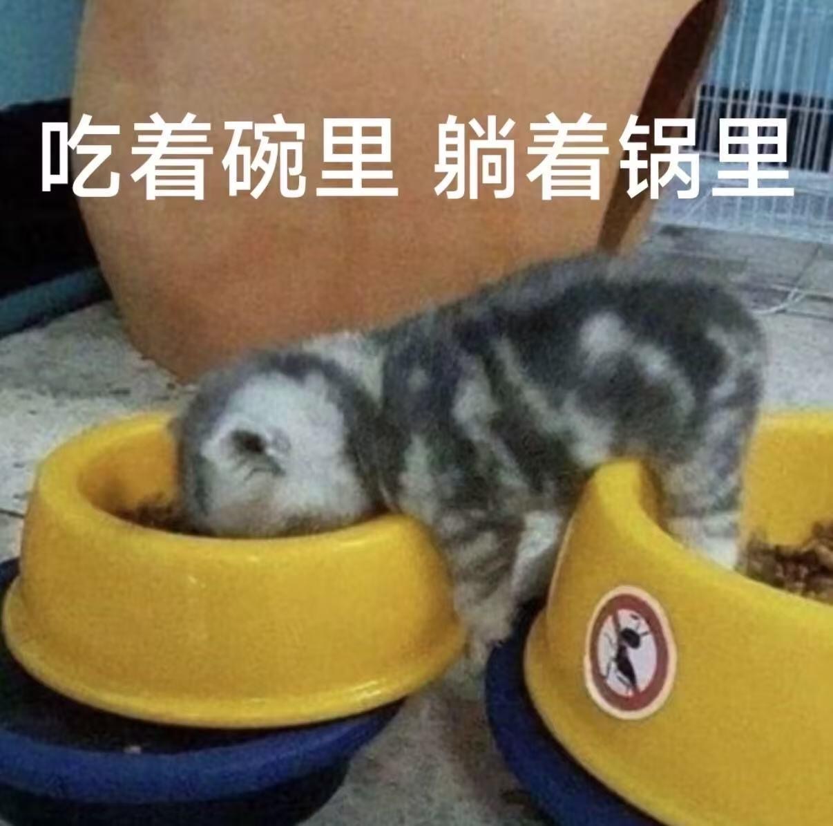 岑先生  突然饿了，吃个夜宵再睡不能饿着自己 