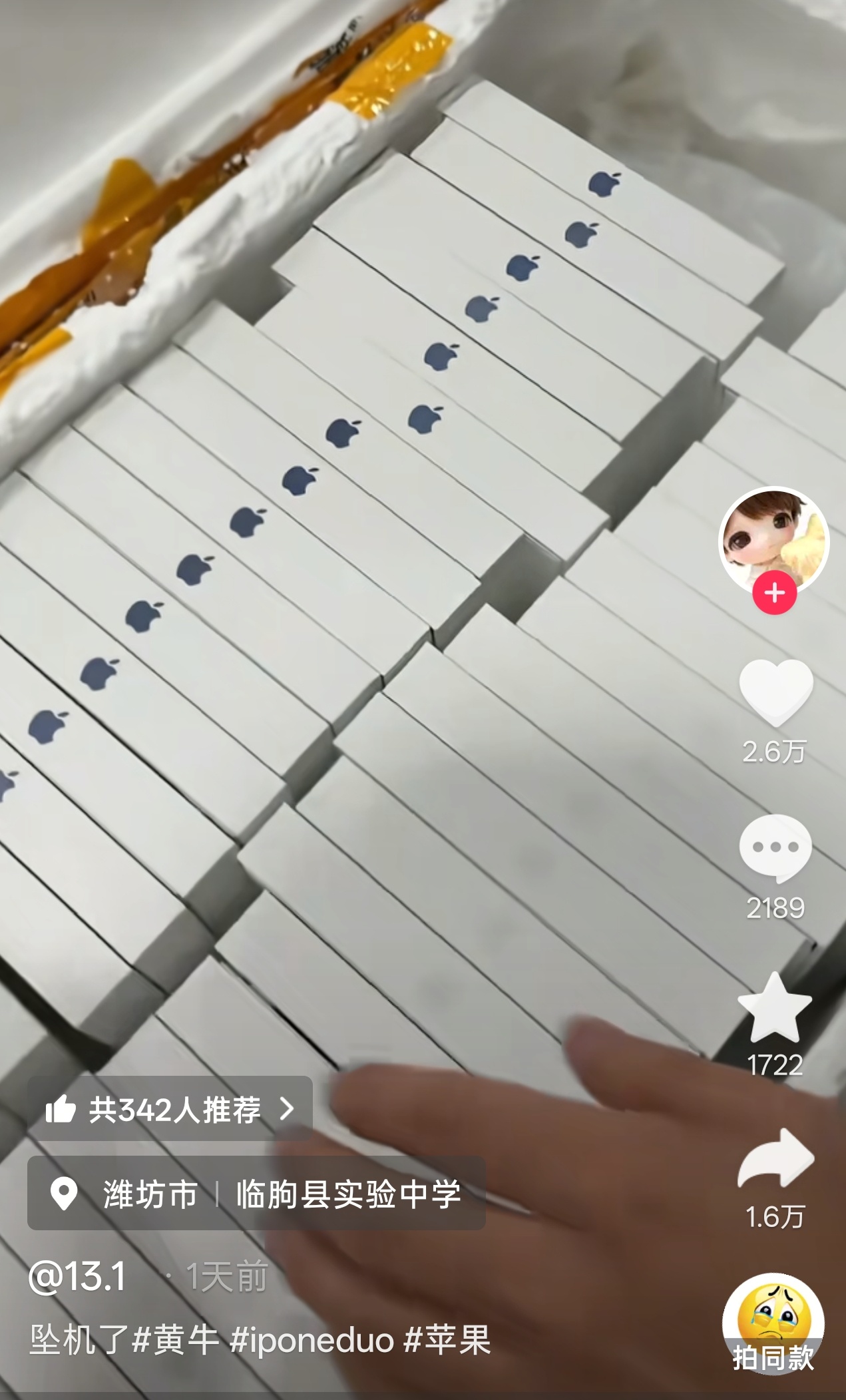 爽了，囤iPhone Duo的黄牛翻车了。中学生就该好好学习啊喂！这些手机是苹果