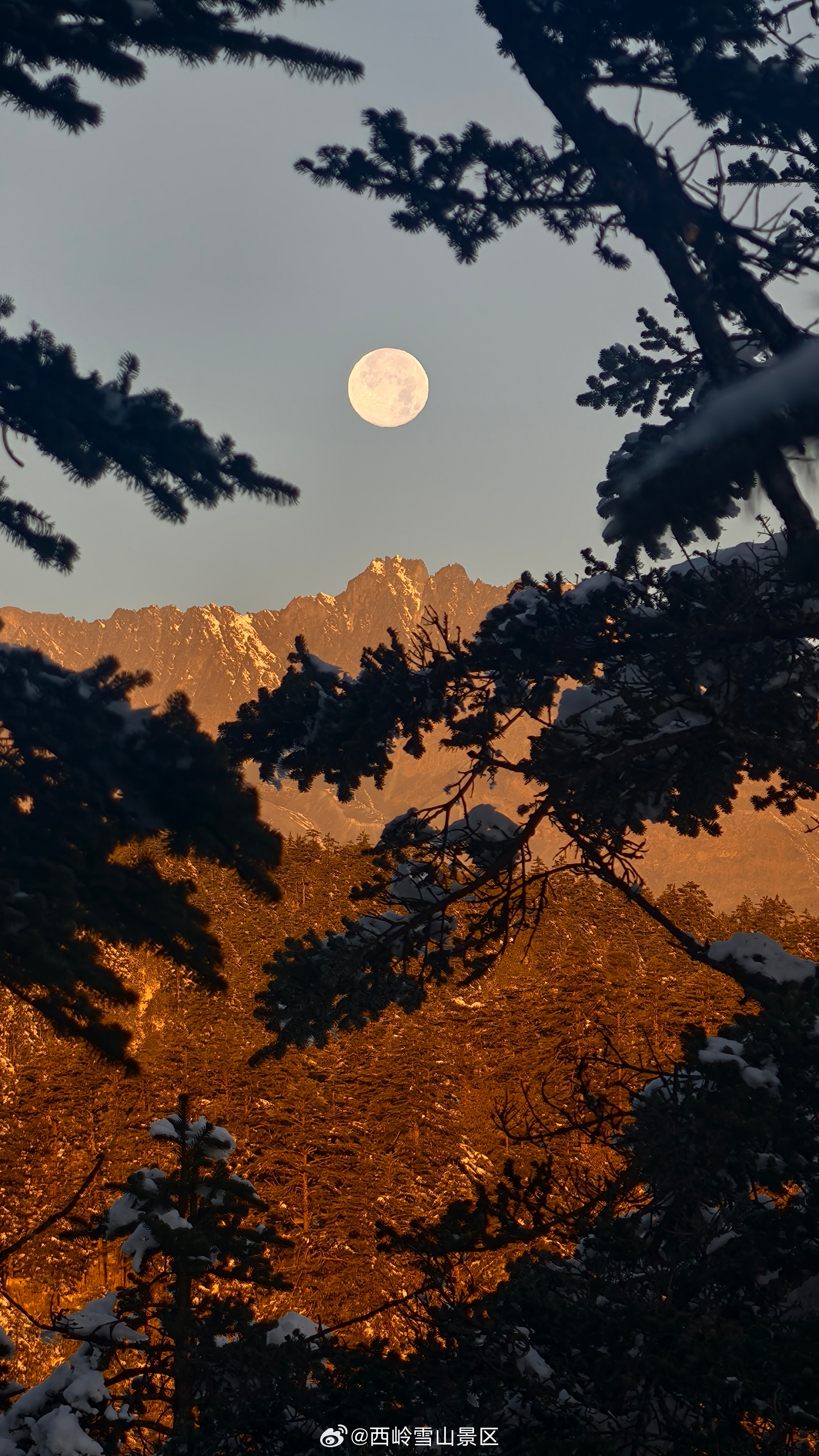 山间明月，静谧美好🌙❄️ #冬日美景##西岭雪山# ​​​