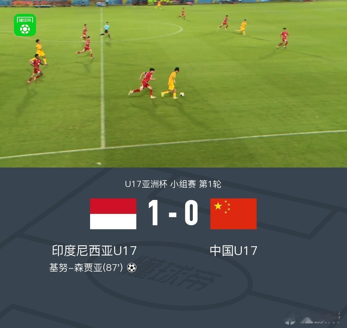 国少亚洲杯0-1输给印尼，看了一小会，真的让人很生气。
不是说我们的青少年足球正