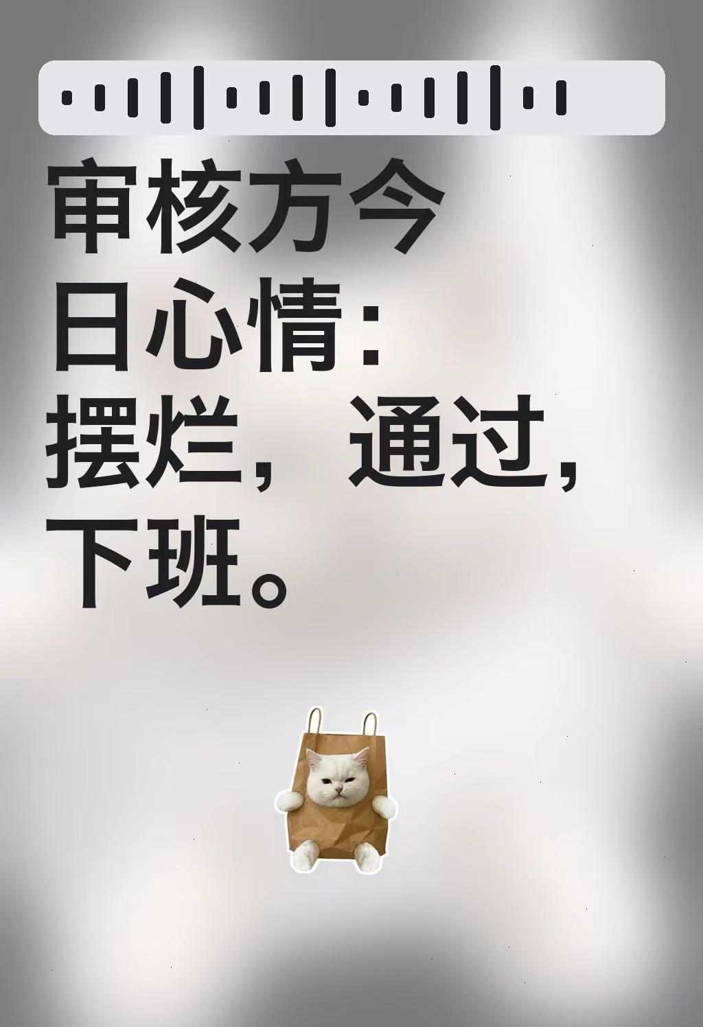 苹果审核就是糊弄事，太明显了ios 免费 app 推荐 软件分享