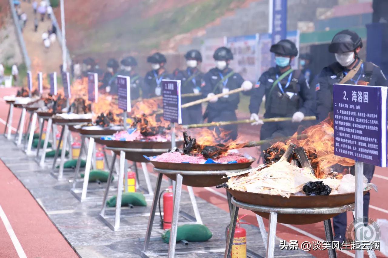 果敢同盟军现场烧毁大量违禁品！

缅北地区不仅有网络公司，还有持续一两百年的鸦片
