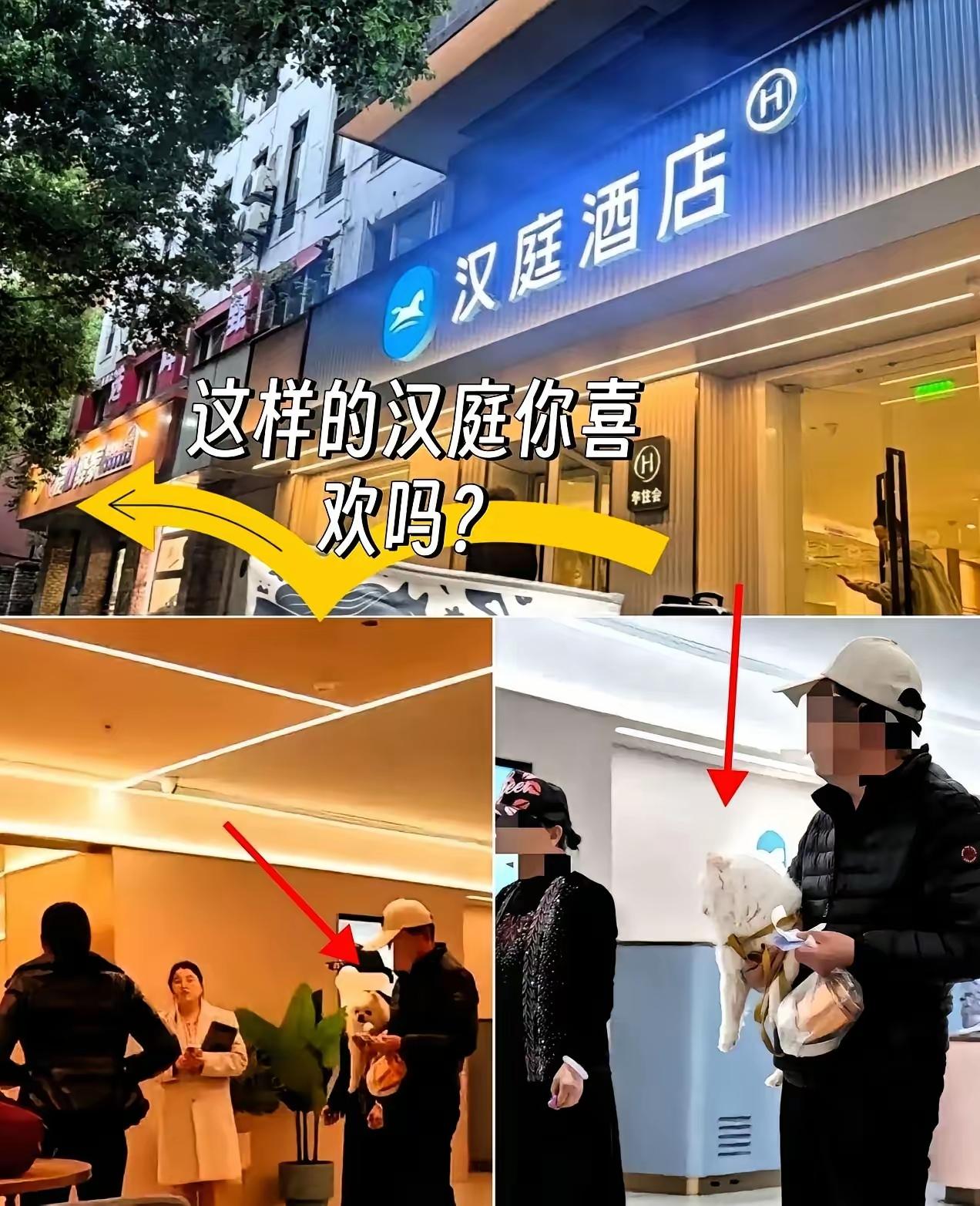 活该汉庭酒店发财，  
不是因为他拒绝了带狗的客户入住，  
也不是他的连锁店遍