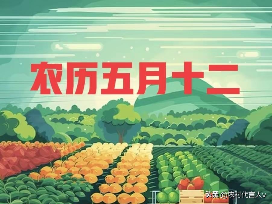 明日五月十二，老话说得好：“五月十二福气多”，3件事要记得
 
农历五月十二，民