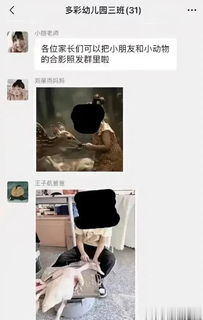 所以王子航的爸爸被踢，一点也不冤枉！

你就说吧，这个群，是幼儿园老师建立的群，