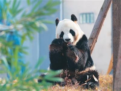 国内要闻（12月30日）
 
1. 北京通州站开通：全地下智能枢纽投运，京唐城际