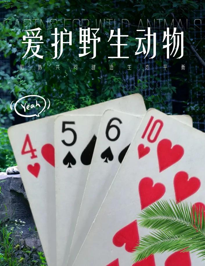 24点游戏：计算的终极测试