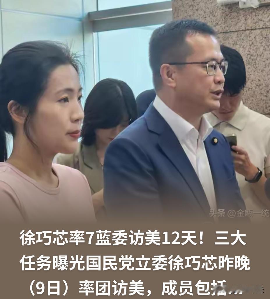 国民党立委徐巧芯女士，近期以在野党议员身份率团访问美国，此次访美的主要任务就是帮