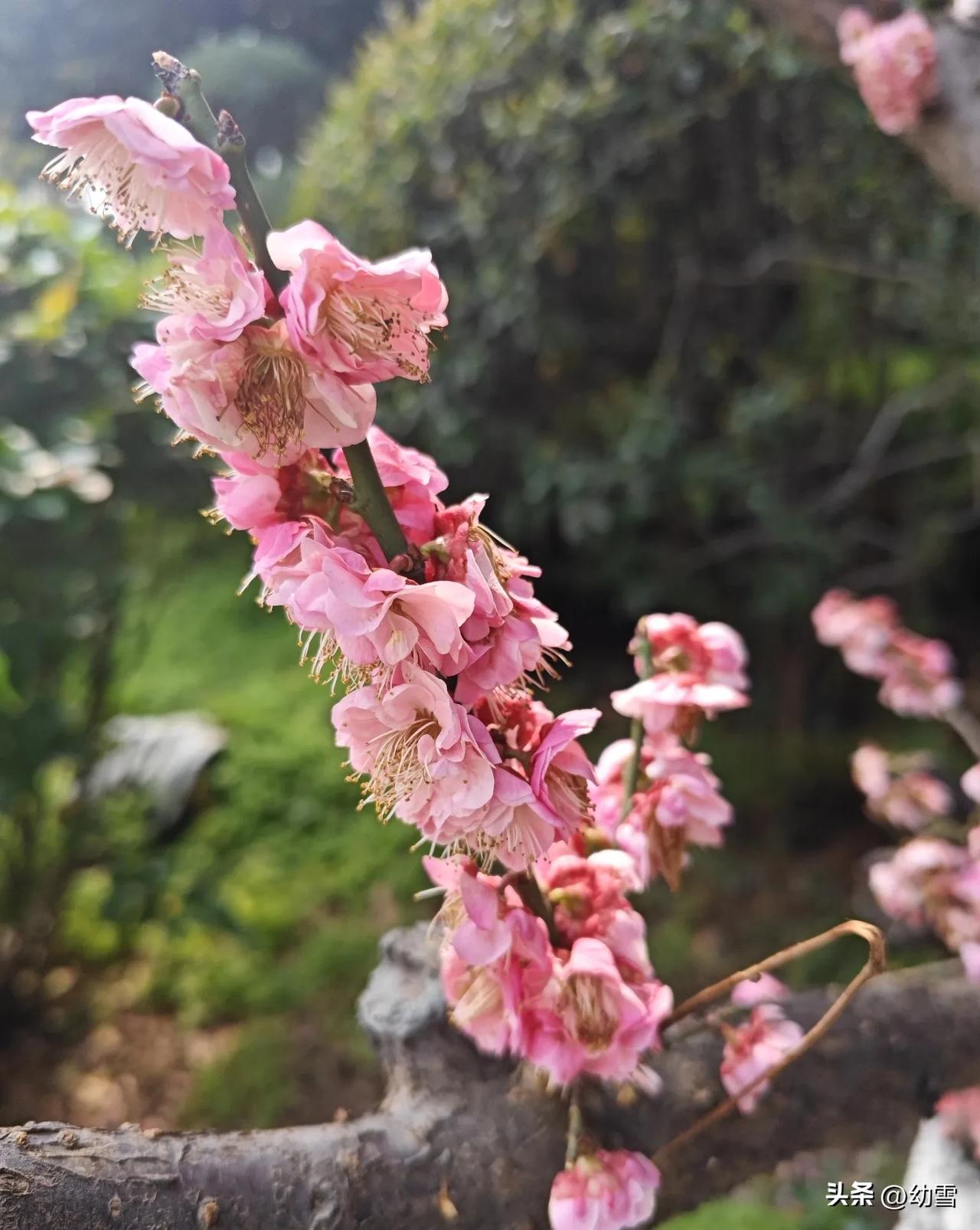 在竭尽心力做事的那段日子里，我始终对自己严格，每一步都走得认真，也一直相信付出总